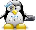 Penguin pingouin pinguino 258